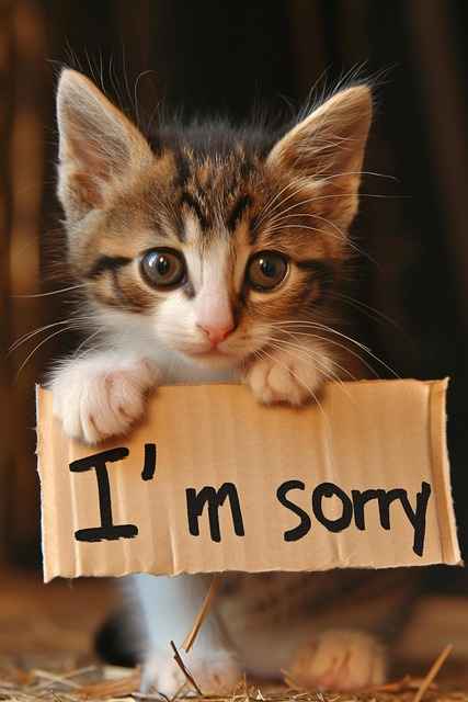 Jakie są wymagania dla drzwi zewnętrznych w budownictwie ekologicznym – sprawdzona lista kryteriów