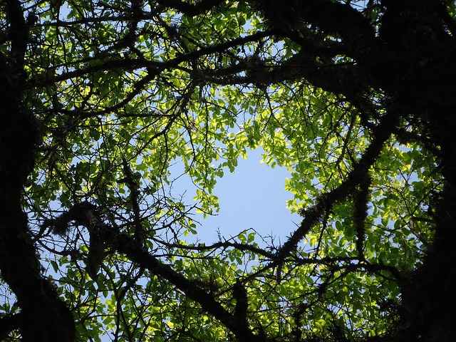 Jak sprawdzić stan baterii w pilocie do rolet – objawy i test