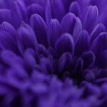 Kiedy wysypać korę, by chwasty nie rosły? Termin