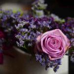 Dlaczego folia tunelowa kruszy się po roku? Diagnoza