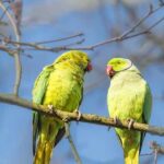 Ile lat wytrzyma pianka tapicerska w sofie? Trwałość